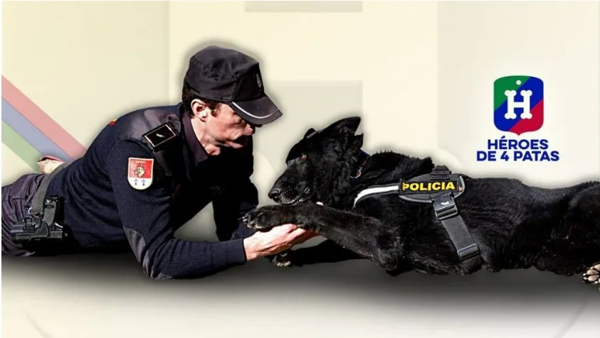 Héroes de 4 Patas